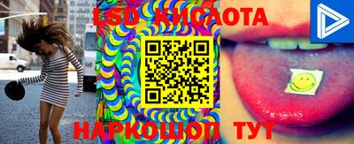 винт Ставрополь